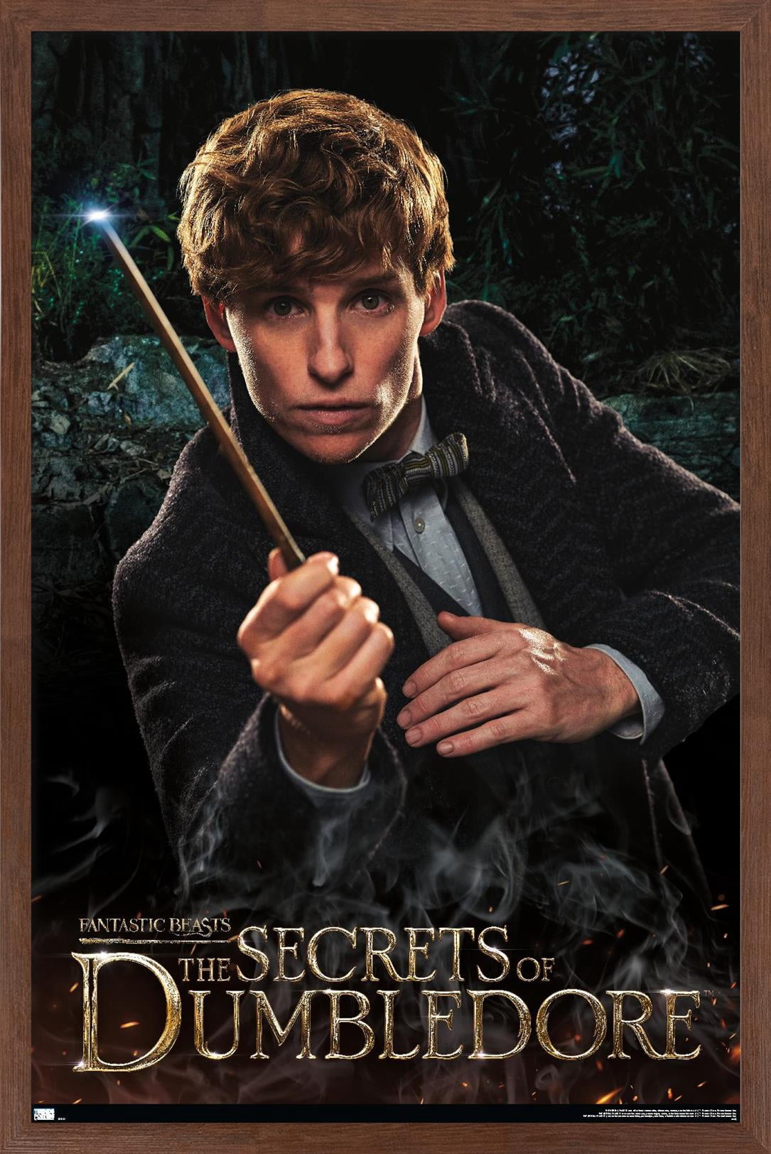 Fantastic Beasts: The Secrets of Dumbledore - Newt Wall Poster, 22.375" x 34" Framed