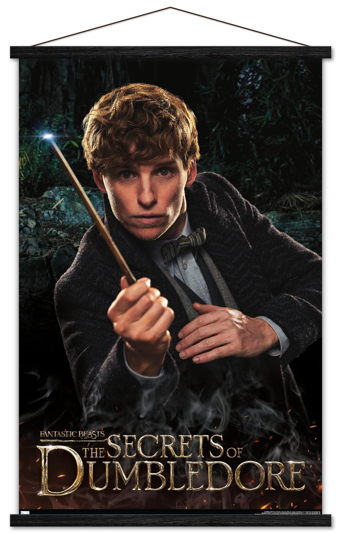 Fantastic Beasts: The Secrets of Dumbledore - Newt Wall Poster with Magnetic Frame, 22.375" x 34"