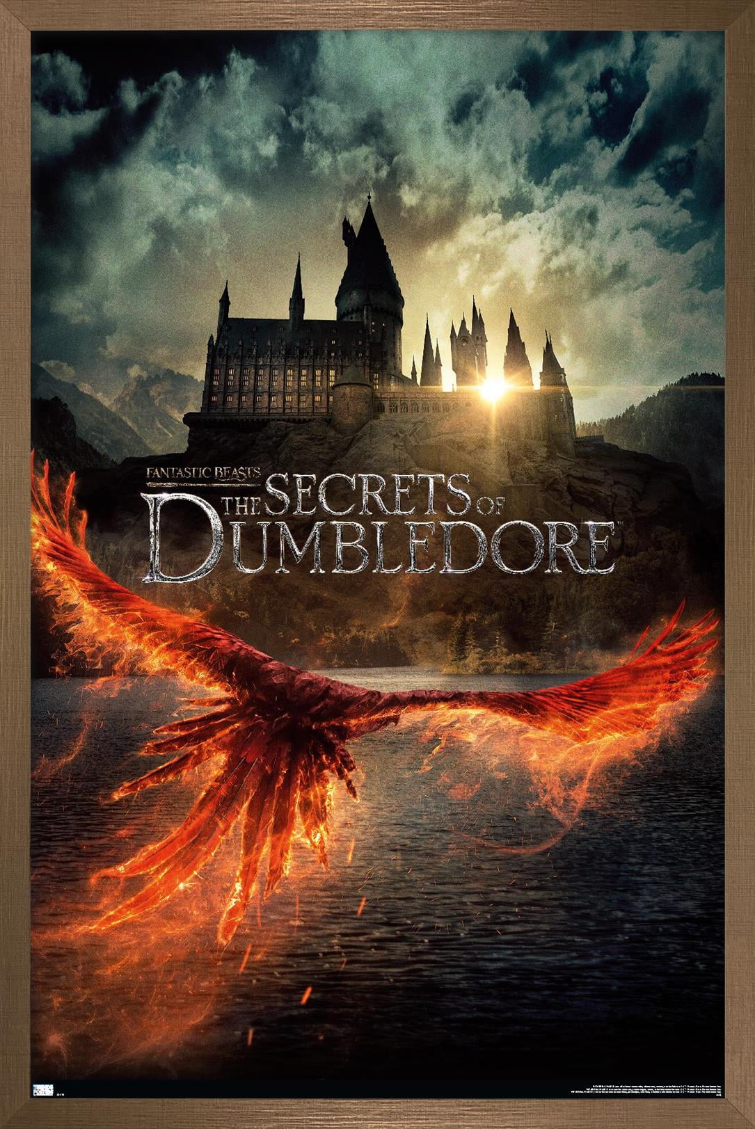 Fantastic Beasts: The Secrets of Dumbledore - Teaser One-Sheet Wall Poster, 14.725" x 22.375" Framed