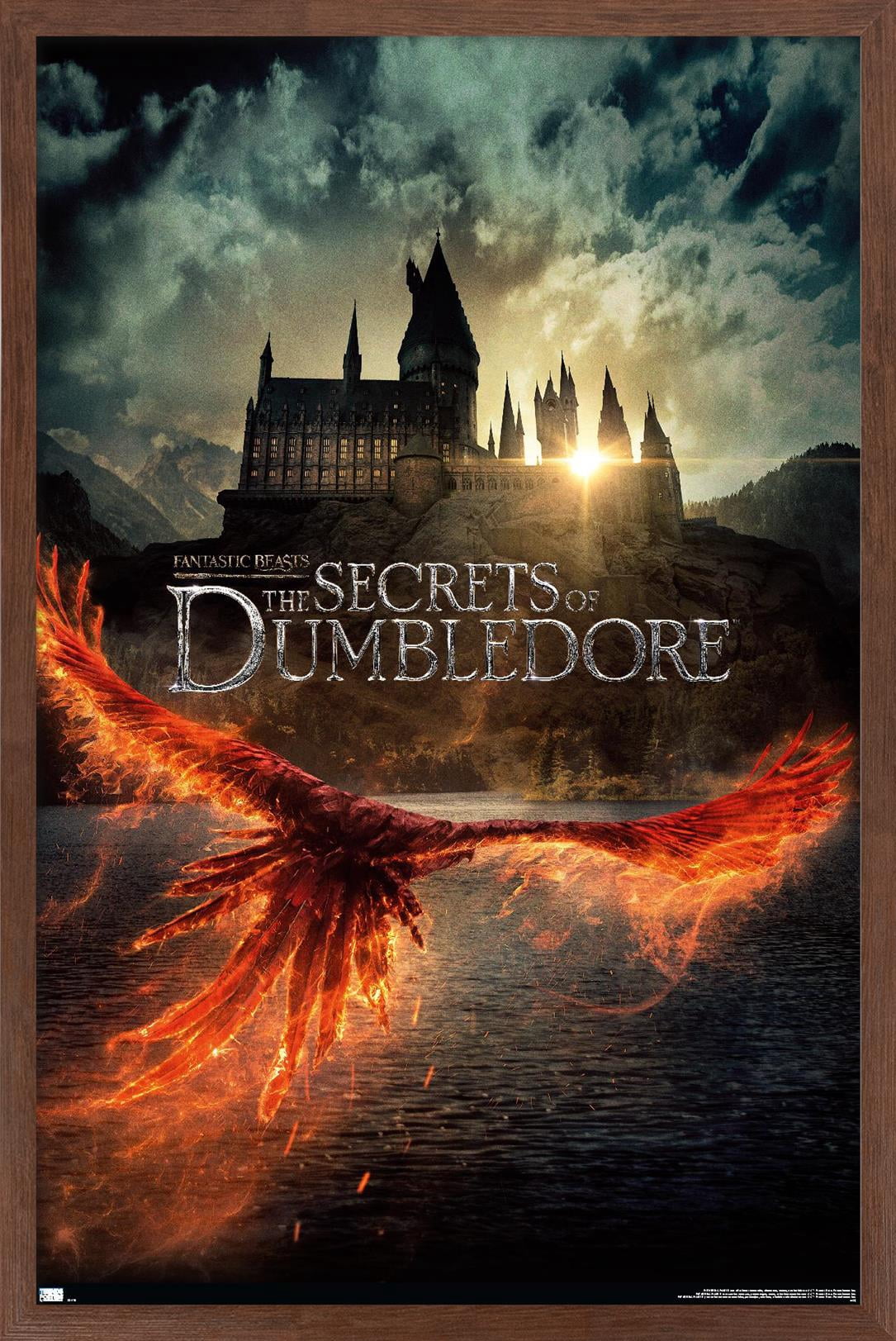 Fantastic Beasts: The Secrets of Dumbledore - Teaser One-Sheet Wall Poster, 22.375" x 34" Framed