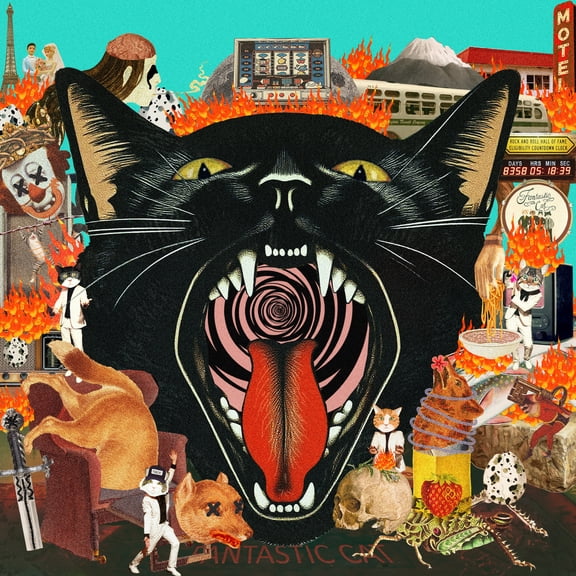 Fantastic Cat - Cat Out Of Hell - Music & Performance - Vinyl