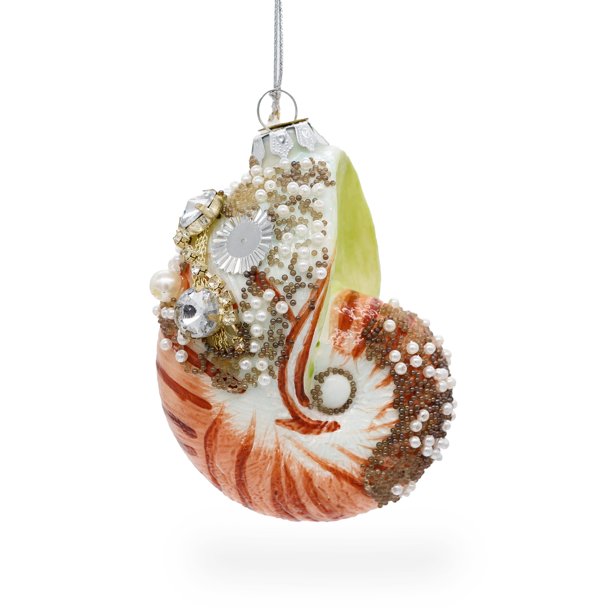 Stunning Snail Shells for Decoration Items for Decorations