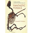 Fantastic Fossils A Guide to Finding and Identifying Prehistoric Life