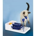 thumbnail image 1 of Fantasy Board for Cats - Blue & White, 1 of 1