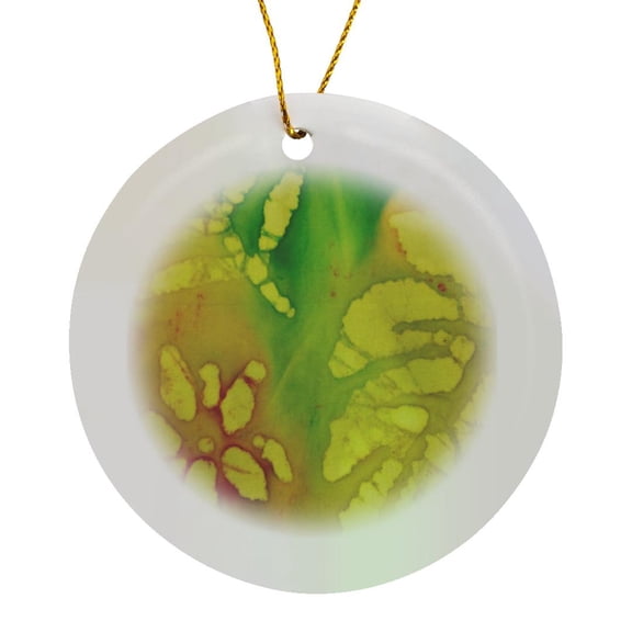 3drose, Fantasy Garden, Circle Porcelain Ornament