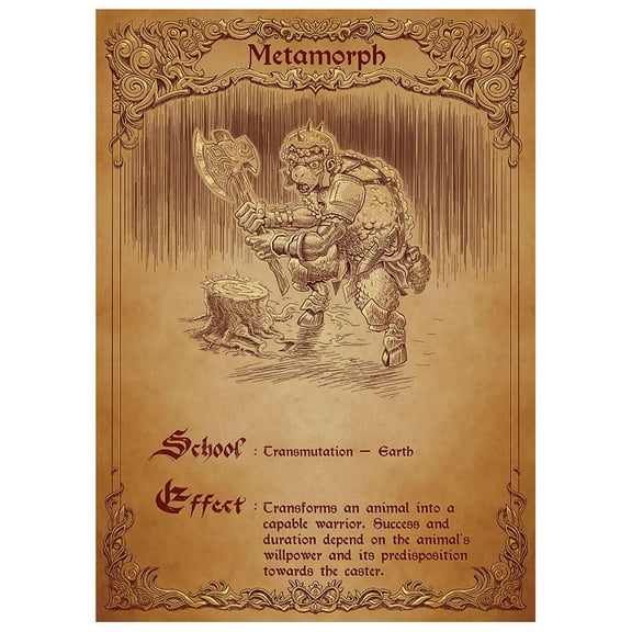 Fantasy North - Metamorph - Spell Scroll Series - 100 Textured Matte TCG Card Sleeves - Fits Magic MTG Commander Pokemon and Other Card Games - Playing Card Sleeves