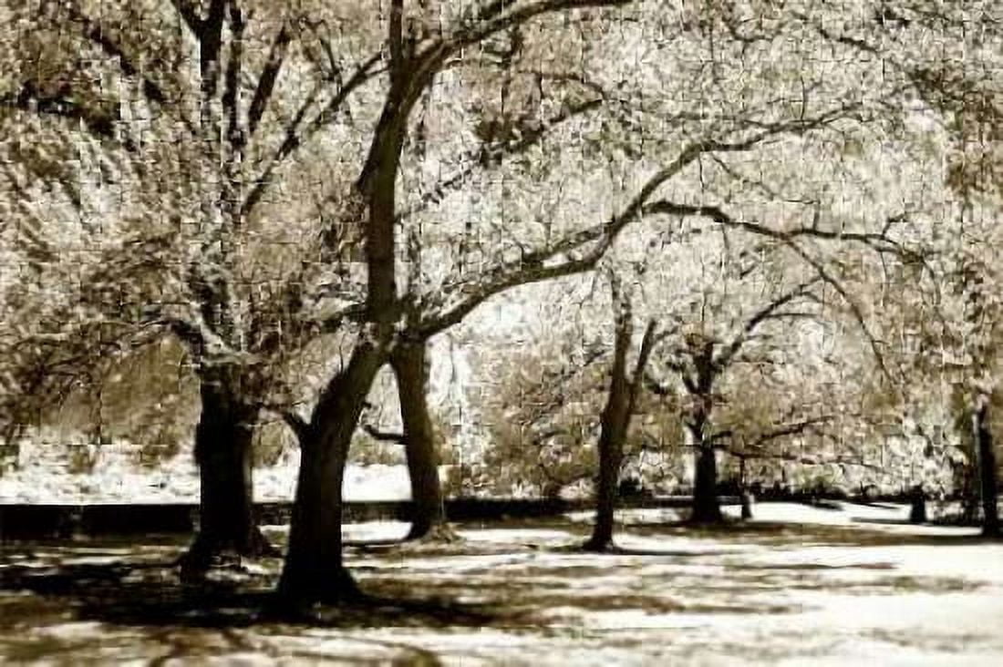 Fantasy Oaks Canvas Art - Alan Hausenflock (12 x 18)