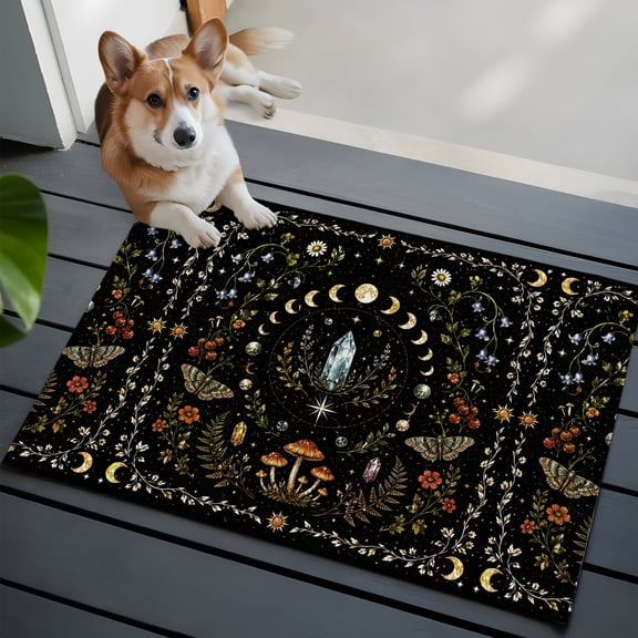 Fantasy Starry Sky Small Area Rugs 2x3 Mystery Moon Phases Stars Moon Fly Agaric Fern Black Entryway Rugs Washable Door Mat, Low-Profile Area Rugs Floor Carpet for Living Room Bedroom Home Office
