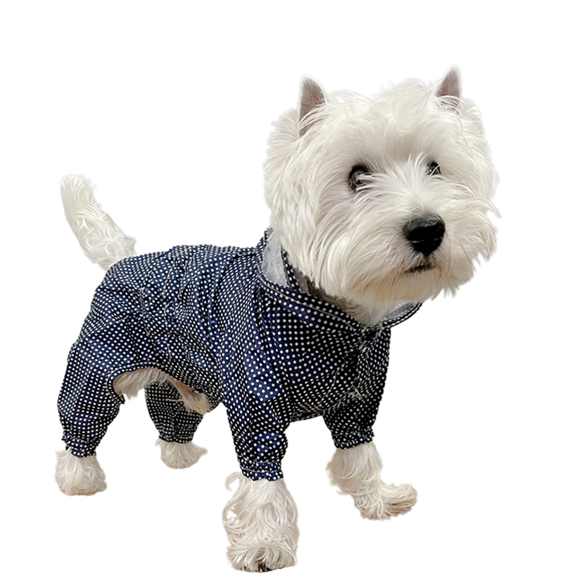 Fanvereka Dog Raincoat, 4 Legs Dog Rain Jacket with Hood for Small