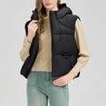 thumbnail image 1 of Fanxing Women's Hooded Puffer Vest Winter Zip Up Lightweight Sleeveless Warm Crop Jacket Outerwear Padded Coat with Pocket Black 2XL, 1 of 9
