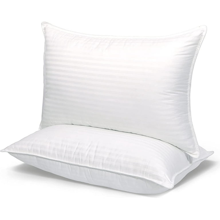 FAPO 18x18 Pillow Inserts Set of 2