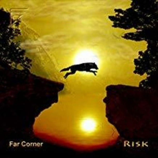 Far Corner Risk Music & Performance CD Walmart Business Supplies