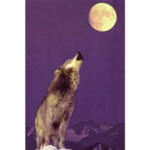 Far Rider, (Paperback)