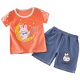 thumbnail image 1 of Faraee Toddler Baby Girl Summer Clothes Short Sleeves T-Shirt Tee Tops Shorts Cute Outfits Set Rabbit Print 2 Piece Clothing Set (5-6T,Orange), 1 of 5