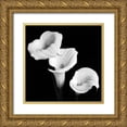 thumbnail image 1 of Faragher, Michael 12x12 Gold Ornate Wood Framed with Double Matting Museum Art Print Titled - Sisters, 1 of 4