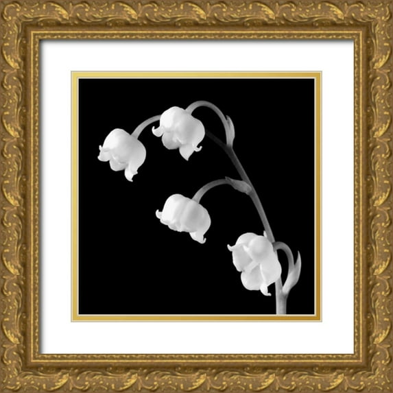 Faragher, Michael 12x12 Gold Ornate Wood Framed with Double Matting Museum Art Print Titled - Spring Bells I