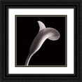 thumbnail image 1 of Faragher, Michael 15x15 Black Ornate Wood Framed with Double Matting Museum Art Print Titled - Lilies, 1 of 4