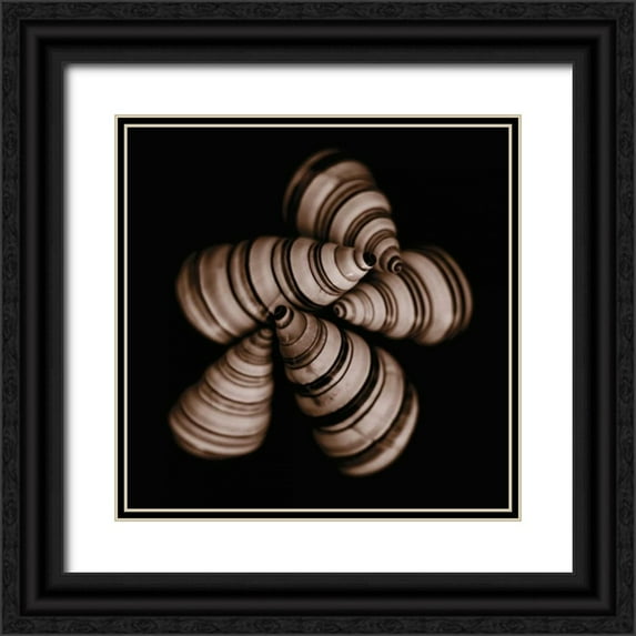 Faragher, Michael 20x20 Black Ornate Wood Framed with Double Matting Museum Art Print Titled - Focus