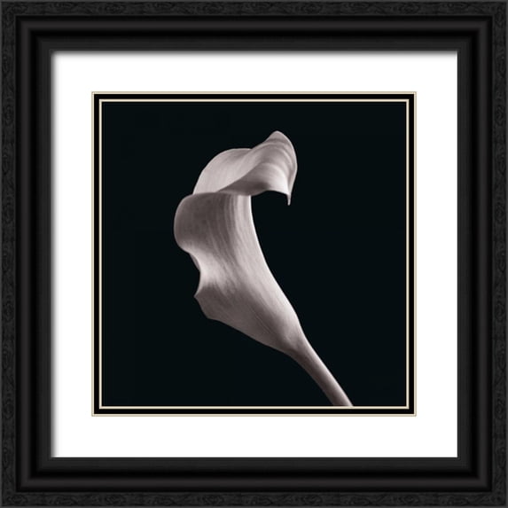 Faragher, Michael 20x20 Black Ornate Wood Framed with Double Matting Museum Art Print Titled - Lilies