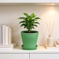 thumbnail image 1 of Fareti 5.5 Inch Plant Pots, Small Flower Pots for Indoor Plant Pot Succulent Pot with Drainage Planters for Indoor Plants, Green, 1 of 5