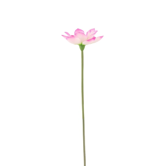 Fareti Single Stem Faux Lotus Flower for Spring Summer Decor, Realistic Fake Aquatic Bloom for Pond Water Feature Table Display