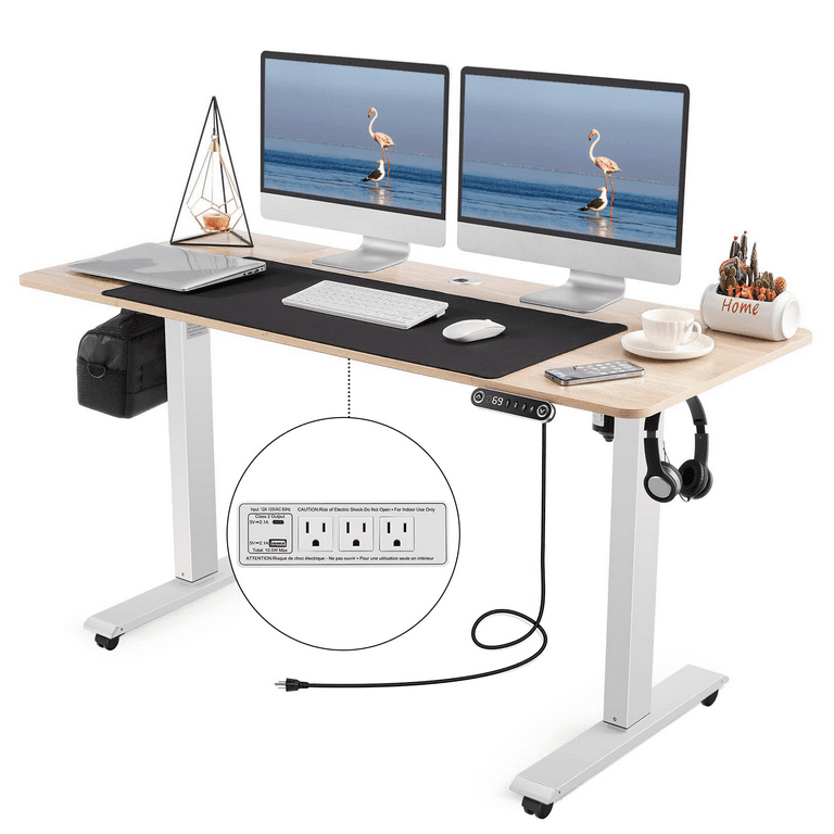 farexon 55 x 24 Inch Electric Standing Desk Adjustable Height, Sit
