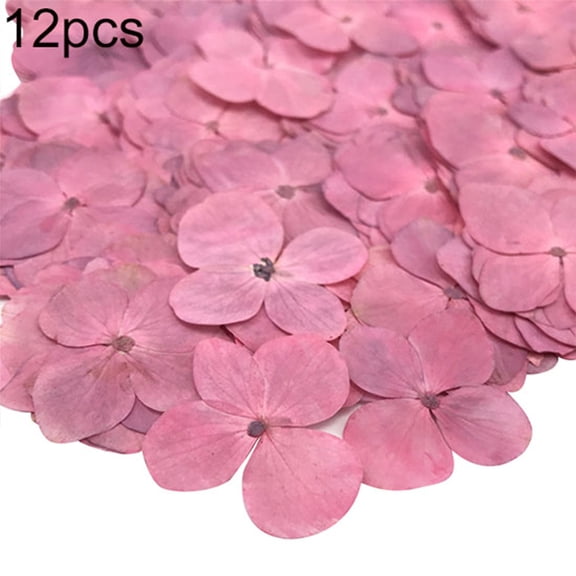 Farfi 12Pcs Pressed Dried Flower Plant Specimen Epoxy Resin Phone Decor DIY Accessory (Pink)