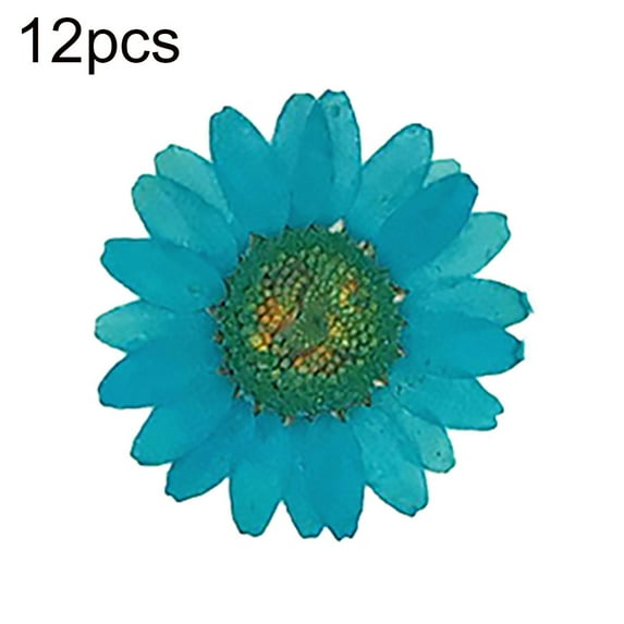 Farfi 12Pcs Pressed Dried Natural Flower Epoxy Resin Nail Craft DIY Phone Decoration (Dark Blue)