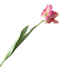 Farfi 1Pc Artificial Flower Vivid Decorative 68cm 3D Parrot Tulip Real Touch Fake Flower Decor for Home (Pink)