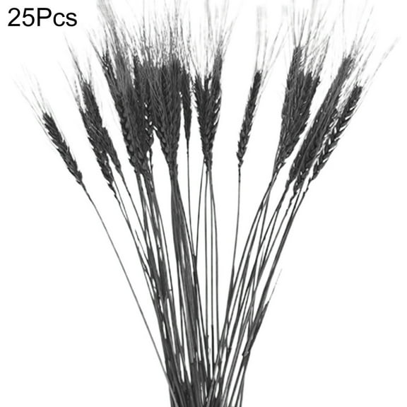 Farfi 25Pcs/Set Artificial Flower Decor Widely Applied Exquisite Workmanship No Withering Pampas Oat Grass Dried Flower Decor for Party (Black)