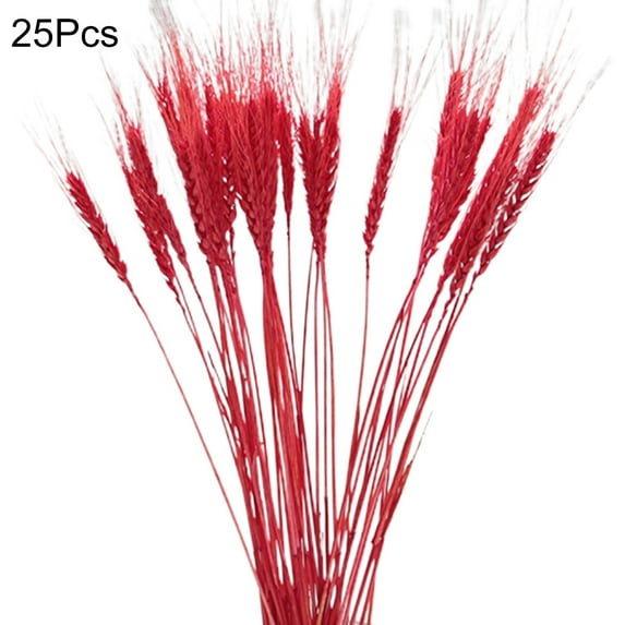 Farfi 25Pcs/Set Artificial Flower Decor Widely Applied Exquisite Workmanship No Withering Pampas Oat Grass Dried Flower Decor for Party (Bright Red)