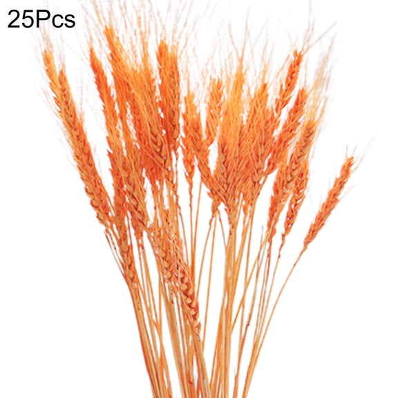 Farfi 25Pcs/Set Artificial Flower Decor Widely Applied Exquisite Workmanship No Withering Pampas Oat Grass Dried Flower Decor for Party (Orange)