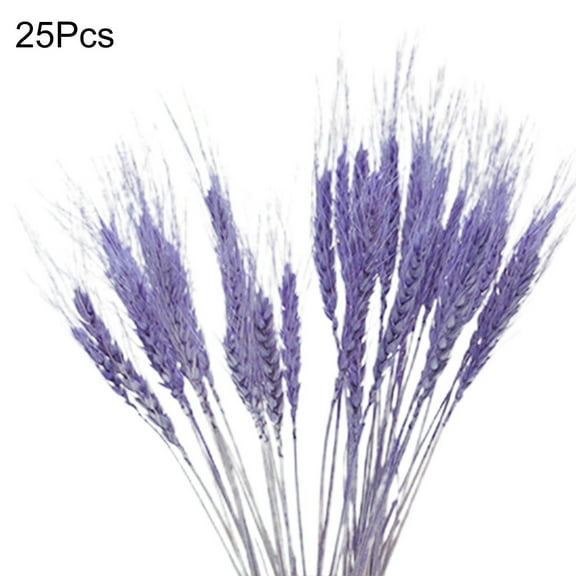 Farfi 25Pcs/Set Artificial Flower Decor Widely Applied Exquisite Workmanship No Withering Pampas Oat Grass Dried Flower Decor for Party (Purple)