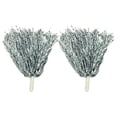 thumbnail image 1 of Farfi 2Pcs Cheerleading Pom Poms with Plastic Handle Colorful Metallic Foil Pom Poms for Cheerleader Spirited Sports Dance Cheer-up Props for Women Girls Cheerleading Captain (Silver), 1 of 13