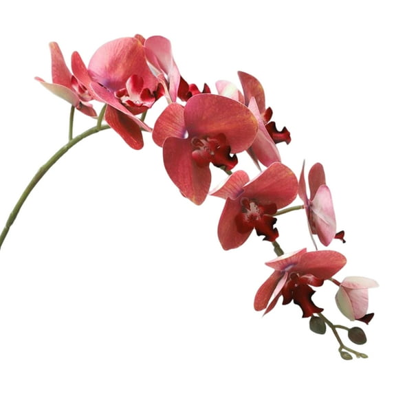 Farfi 9 Heads Fake Phalaenopsis Multi-fork Handcraft Artificial Butterfly Orchid for Home (Type E)