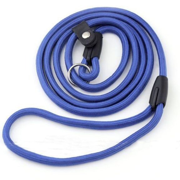 Farfi Adjustable Leash Lead Strap Nylon Traction Rope Pet Dog Collar Outdoor Training (Blue)
