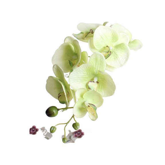 Farfi Artificial Butterfly Orchid Flower Bouquet Phalaenopsis Wedding Home Rome Decor (Green)