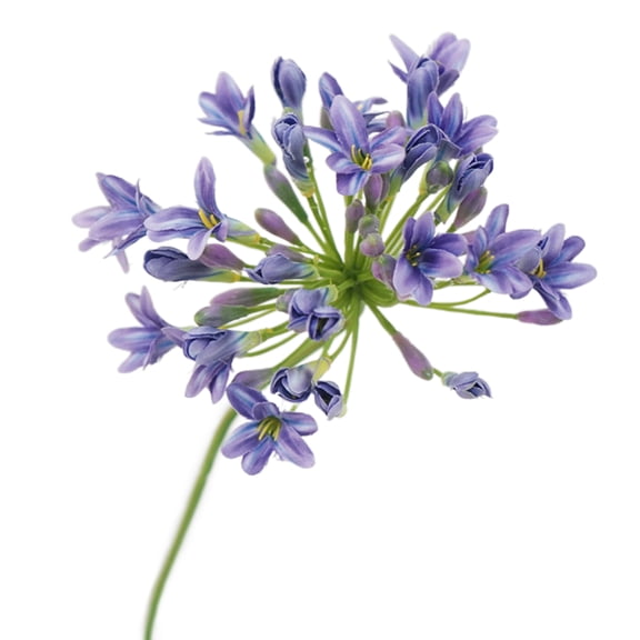 Farfi Artificial Flower Fresh-keeping No Watering Long-lasting Easy to Carry UV-resistant Artificial Agapanthus Flower Home Decoration (Purple)