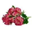 thumbnail image 1 of Farfi Artificial Flower Nice-looking Eye-catching Vibrant Carnation Bouquet Silk Flowers with Stems Leaves for Wife (Rose Red), 1 of 13