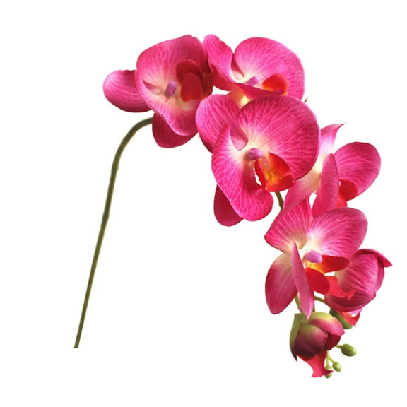 Farfi Artificial Flower Realistic Office Ornament Butterfly Orchid 7 Heads Fake Flower for Wedding (Purple)