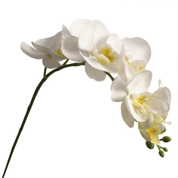 Farfi Artificial Flower Realistic Office Ornament Butterfly Orchid 7 Heads Fake Flower for Wedding (White)