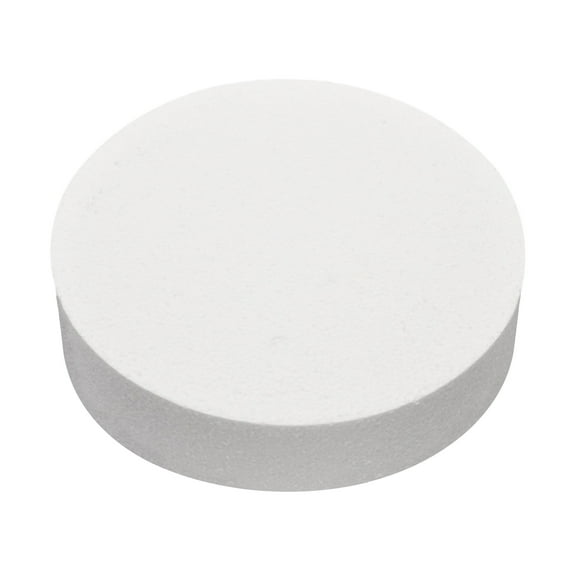 Farfi Cake Embryo Multi-use Easy to Use EPS Prosthetic Foam Cake Model for Home (1 pc,12Inch)