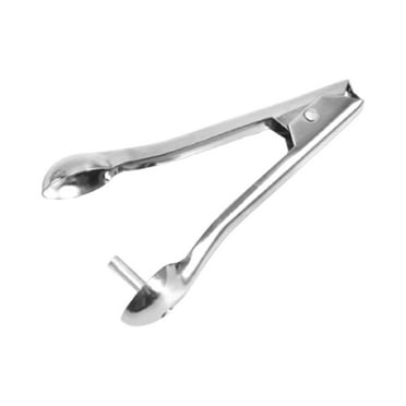 Farfi Cherry Pitter Ergonomic Design Core Removal Stainless Steel Handheld Olive Seed Remover for Home (Primary Color)