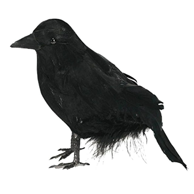 Farfi Crow Ornaments Eye-catching Delicate Texture Feather Handmade Fake Crow Halloween Decor for Home (Black)