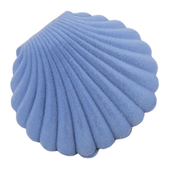Farfi Cute Sea Shell Earring Ring Necklace Display Storage Organizer Gift Jewelry Box (Blue)
