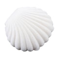 thumbnail image 1 of Farfi Cute Sea Shell Earring Ring Necklace Display Storage Organizer Gift Jewelry Box (White), 1 of 5