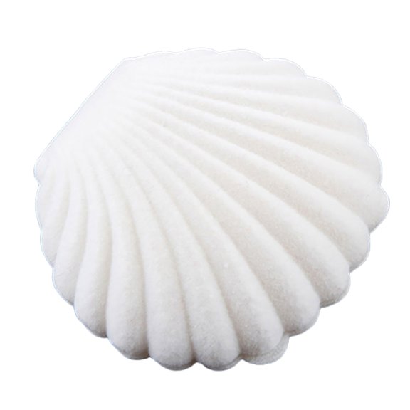 Farfi Cute Sea Shell Earring Ring Necklace Display Storage Organizer Gift Jewelry Box (White)