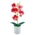 thumbnail image 1 of Farfi Elegant Artificial Bonsai Easy Care 5 Heads Beautiful Artificial Orchid Flowers Party Supplies (Rose Red), 1 of 13