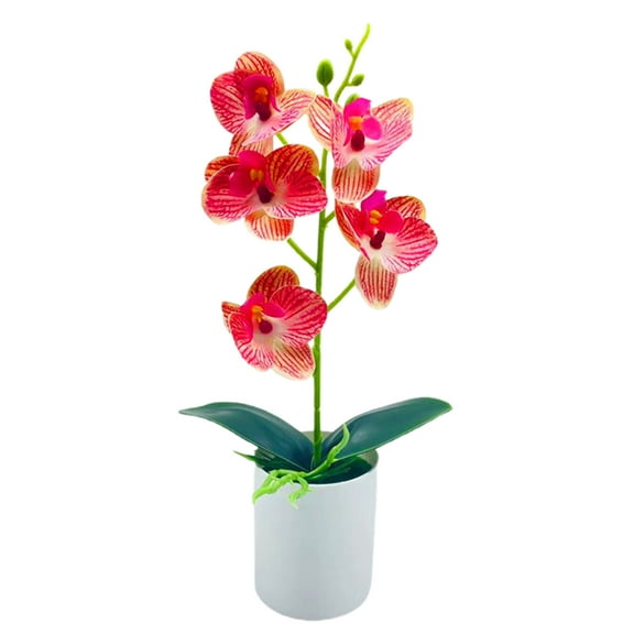 Farfi Elegant Artificial Bonsai Easy Care 5 Heads Beautiful Artificial Orchid Flowers Party Supplies (Rose Red)