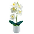 thumbnail image 1 of Farfi Elegant Artificial Bonsai Easy Care 5 Heads Beautiful Artificial Orchid Flowers Party Supplies (White), 1 of 13